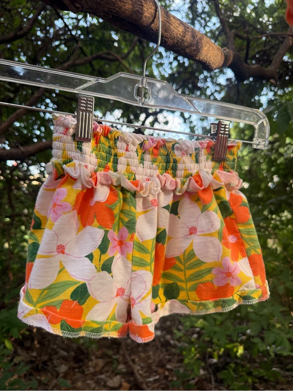 Peek this vibrant